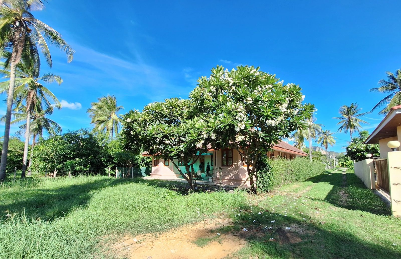 Pool Villa 3 Bedroom 2 Bathroom only 1km to Beach — photo 2