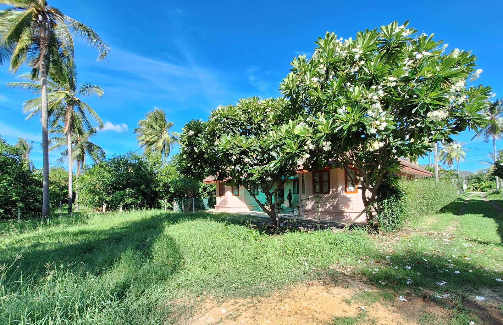 Pool Villa 3 Bedroom 2 Bathroom only 1km to Beach — photo 4