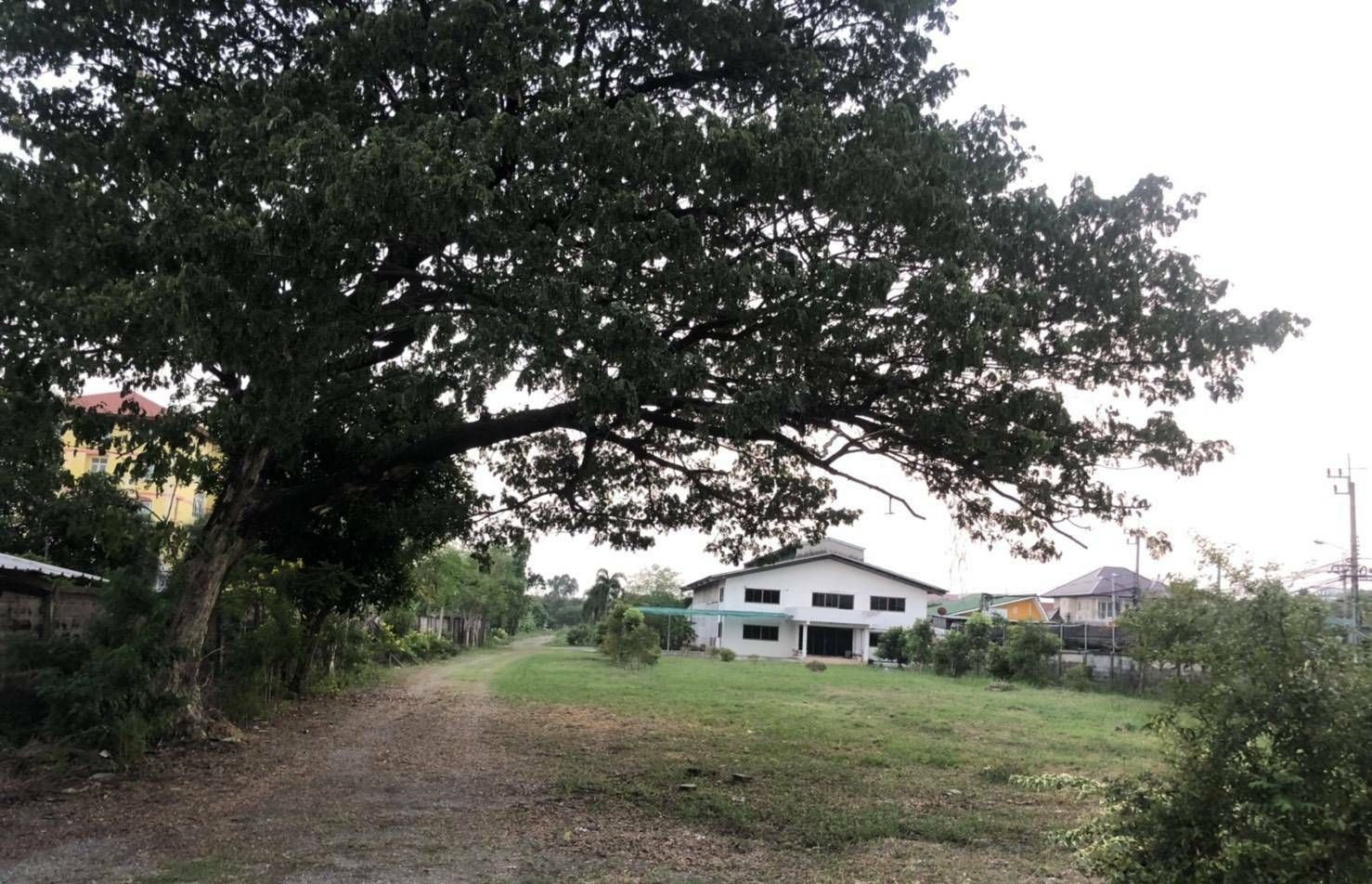 House for Rent in Nonthaburi — photo 2