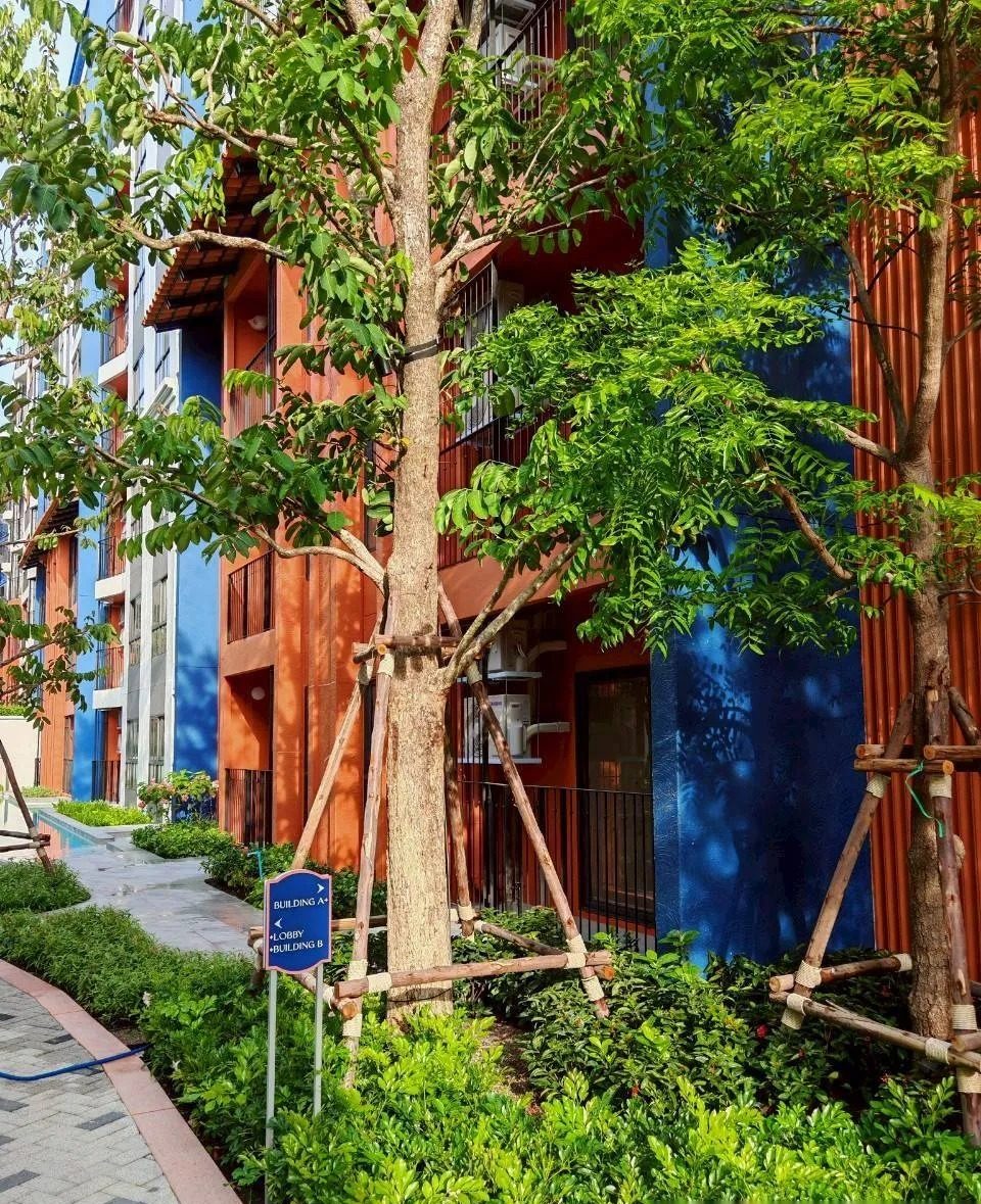 1 Bedroom Condo for rent at Cabanas Hua Hin — photo 3
