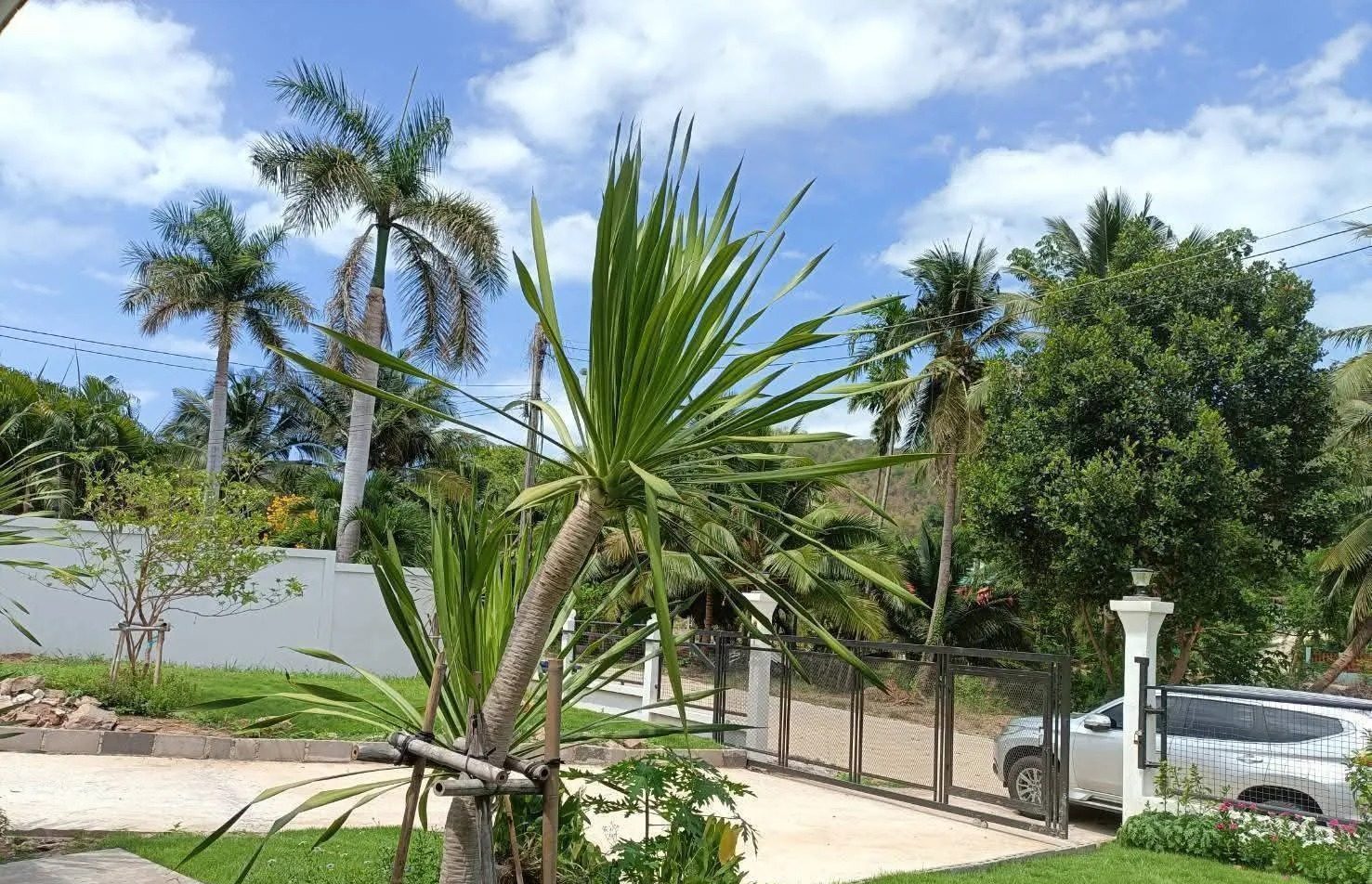 House 2bed 1bath mountain view ,South of Hua-HIn,Khao Kaung — photo 3