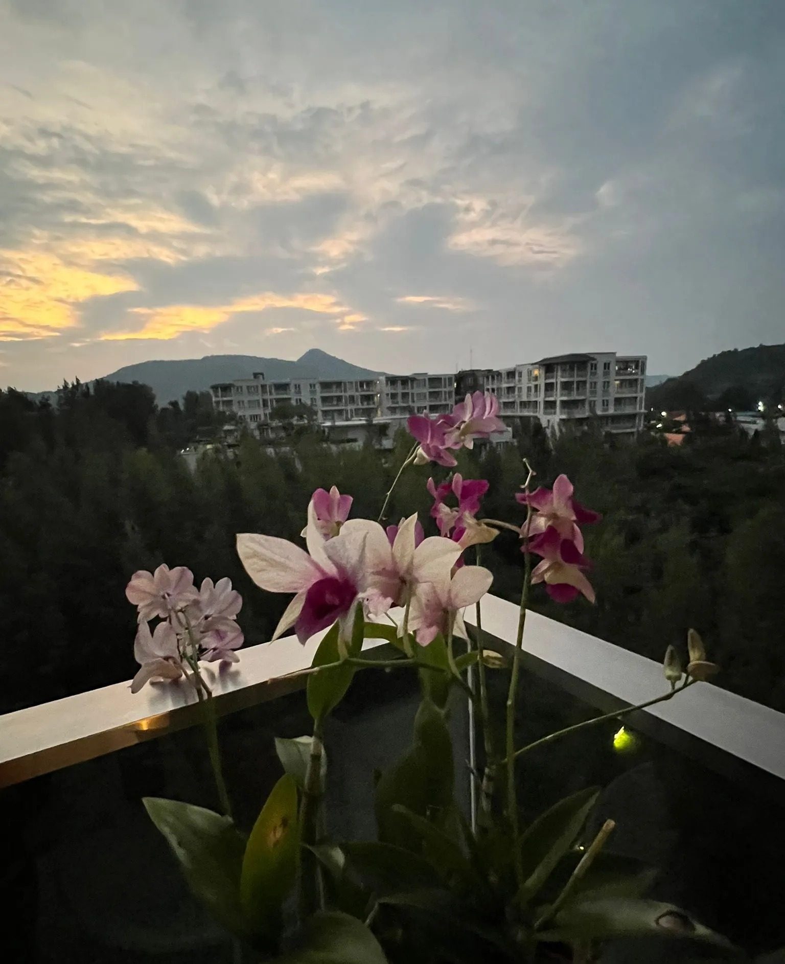 1 Bedroom Condo for rent at Baan View Viman — photo 5