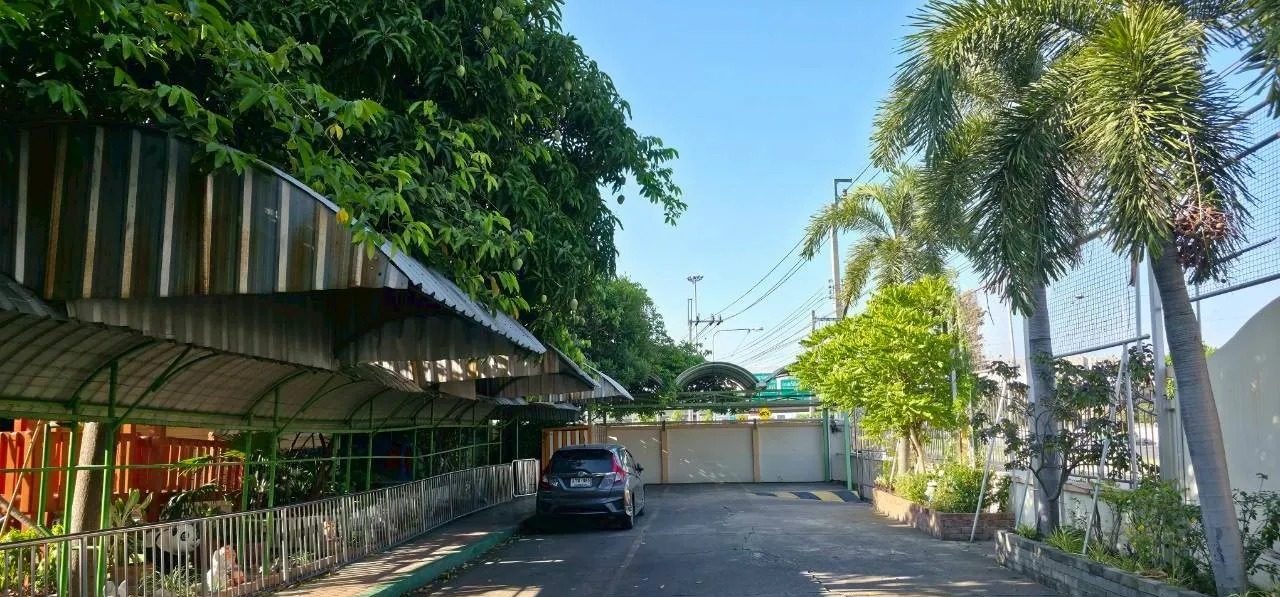 Building for Rent in Bang Krang Nonthaburi — photo 3