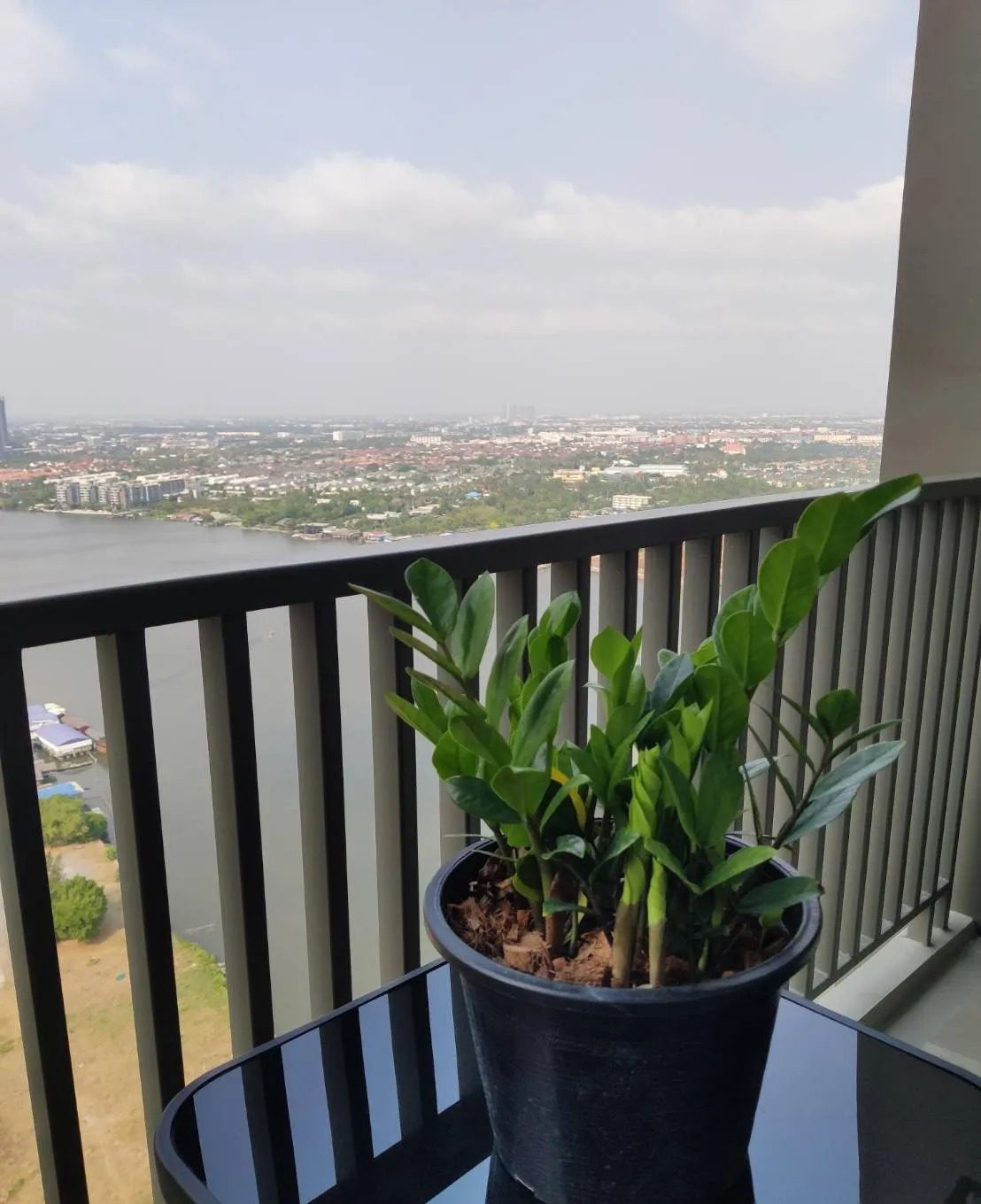 2 Bedroom Condo for rent at Manor Sanambinnam — photo 4
