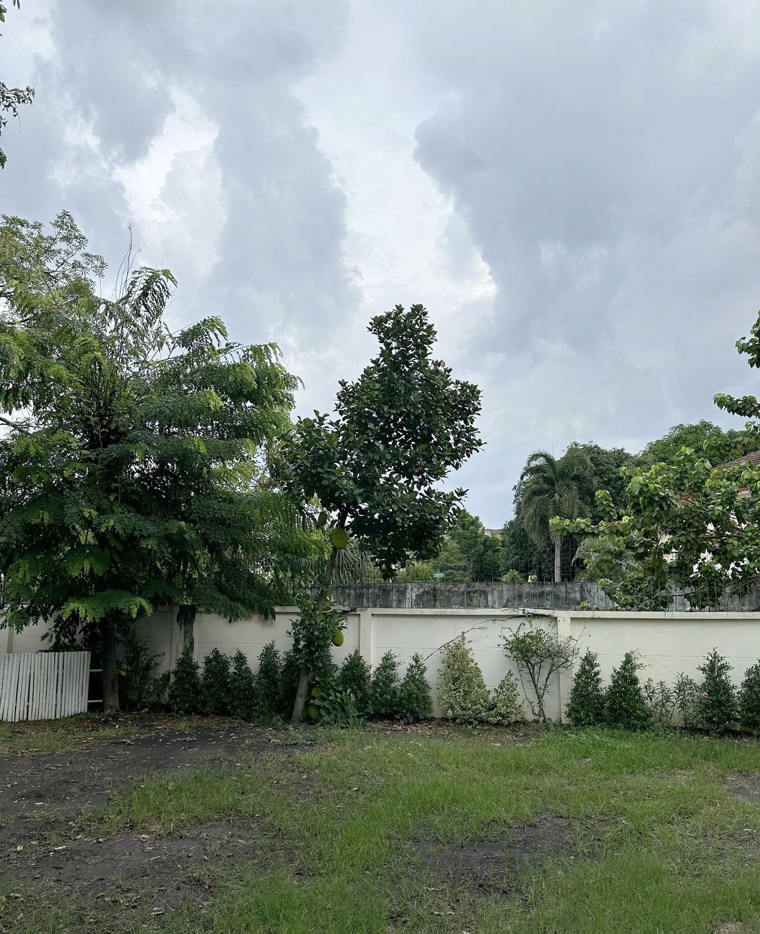 3 Bedroom House for rent at Perfect Place Rattanathibet-Saima — photo 4