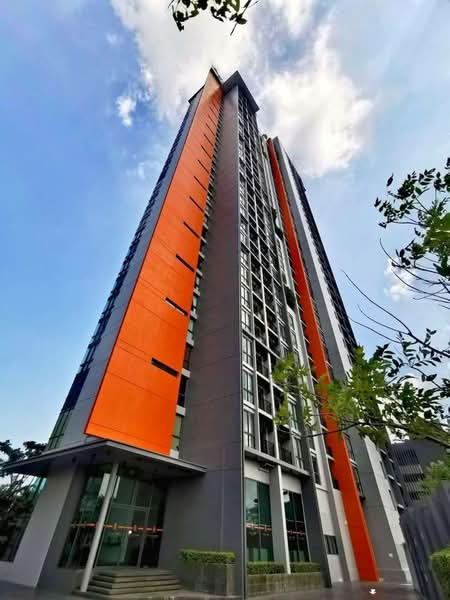 Pattaya Posh — photo 5