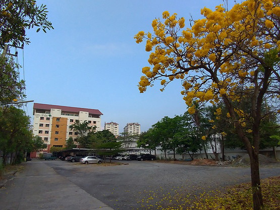Condo · pathum_thani — photo 1