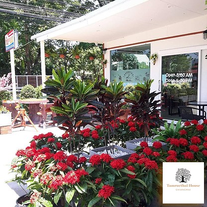 1 Bed Condo · San Sai, chiang_mai — photo 3
