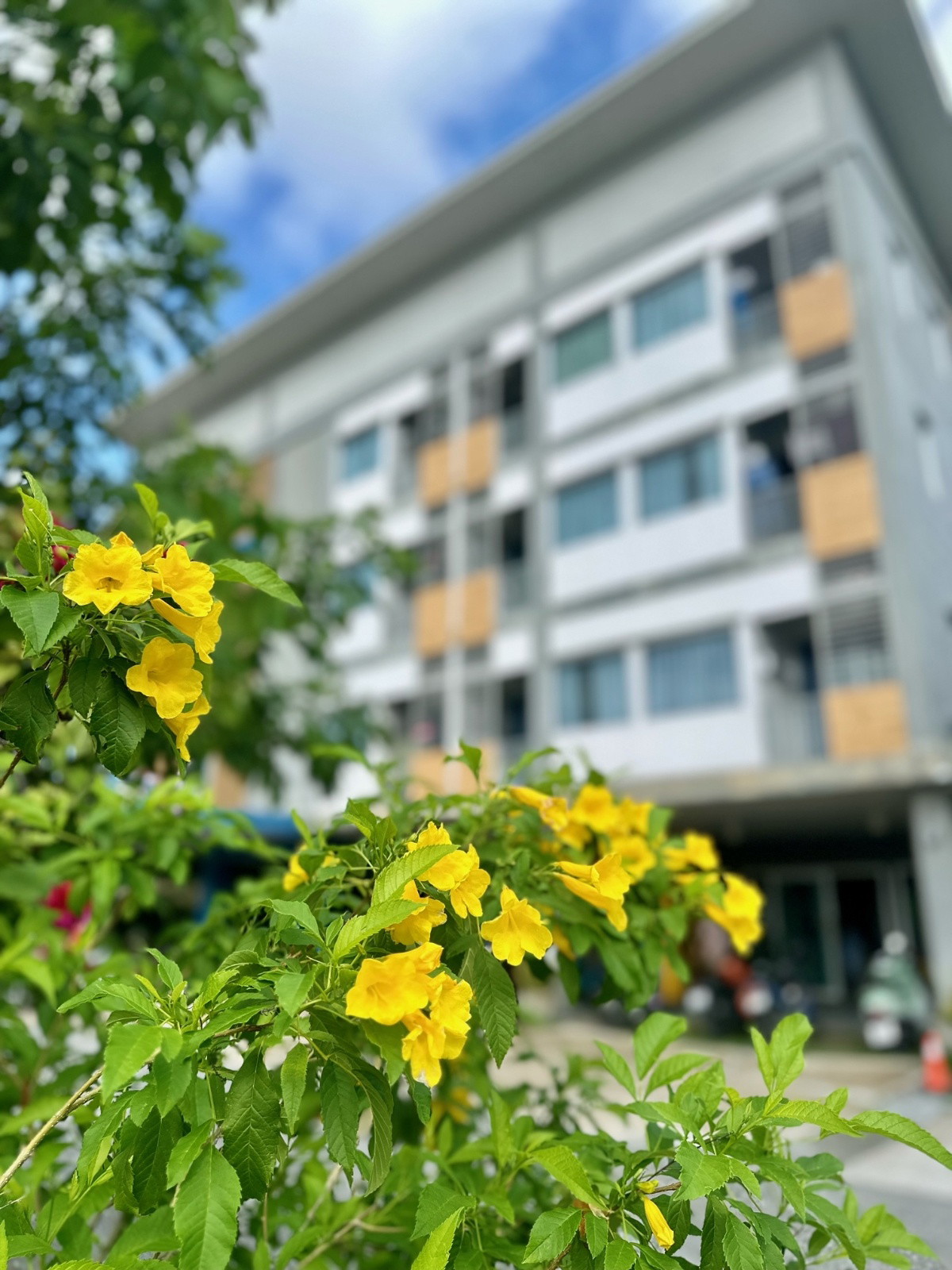 1 Bed Condo · Mueang Samut Prakan, samut_prakan — photo 3