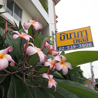 1 Bed Condo · Wang Thonglang, bangkok — photo 1