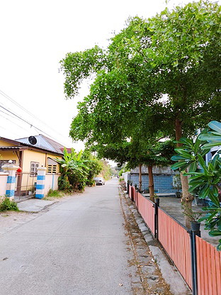 1 Bed Condo · San Kamphaeng, chiang_mai — photo 3