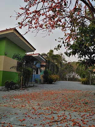 1 Bed Condo · chon_buri — photo 1