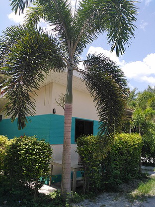 1 Bed Condo · chon_buri — photo 2