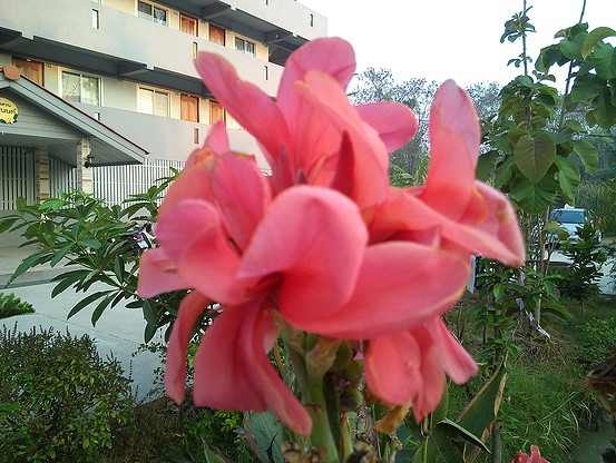 1 Bed Condo · Mueang Nonthaburi, nonthaburi — photo 4