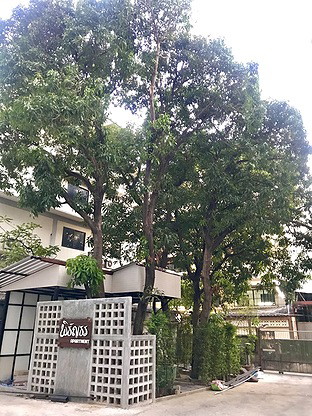 1 Bed Condo · Yan Nawa, bangkok — photo 2