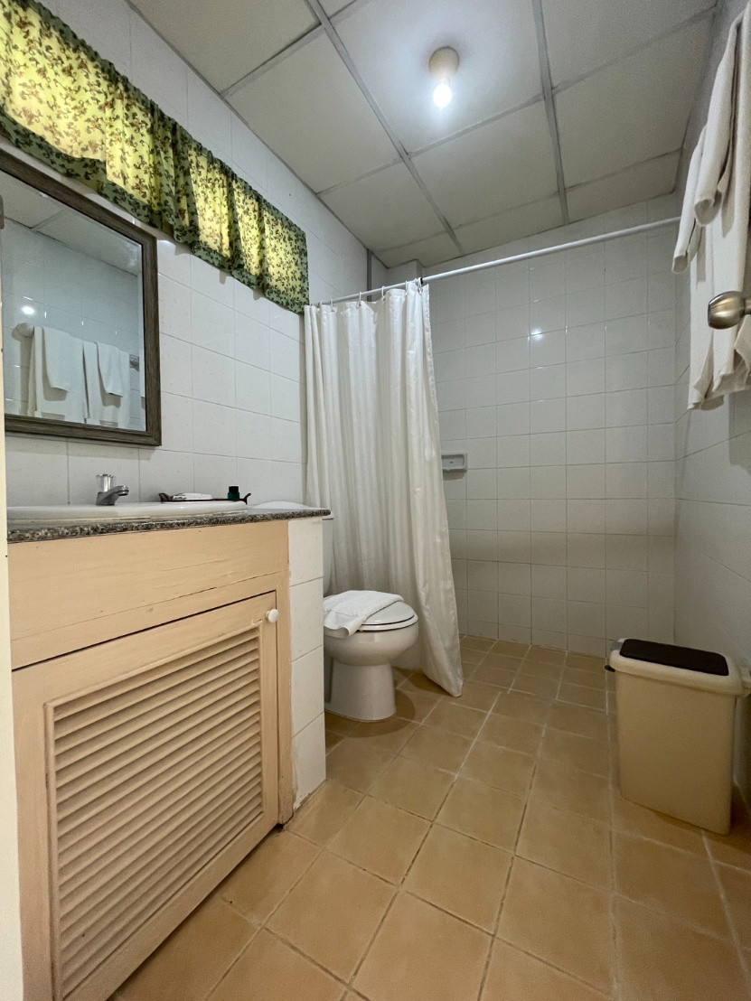 1 Bed Condo — photo 3