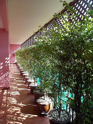 1 Bed Condo · Phra Nakhon, bangkok — photo 5