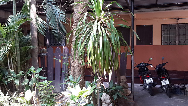 1 Bed Condo — photo 2