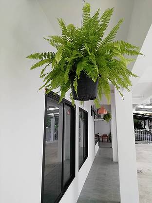 1 Bed Condo · Bang Kapi, bangkok — photo 4