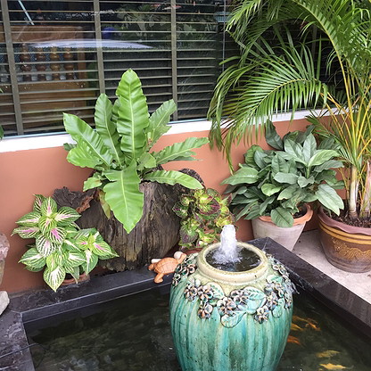 1 Bed Condo · Lat Phrao, bangkok — photo 5