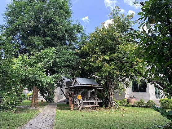 1 Bed Condo · Mueang Chiang Mai, chiang_mai — photo 5
