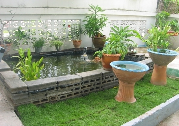 chawiwon — photo 2
