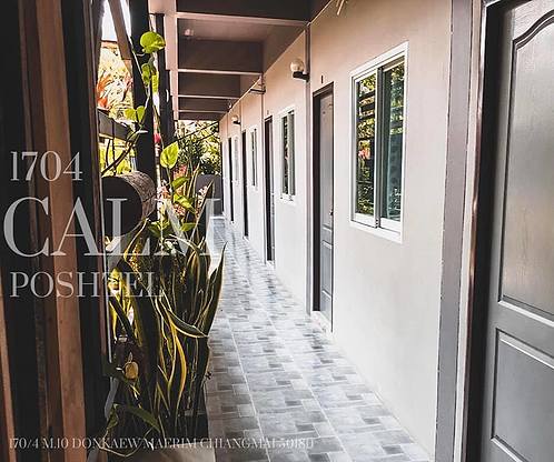 1704 Calm — photo 2