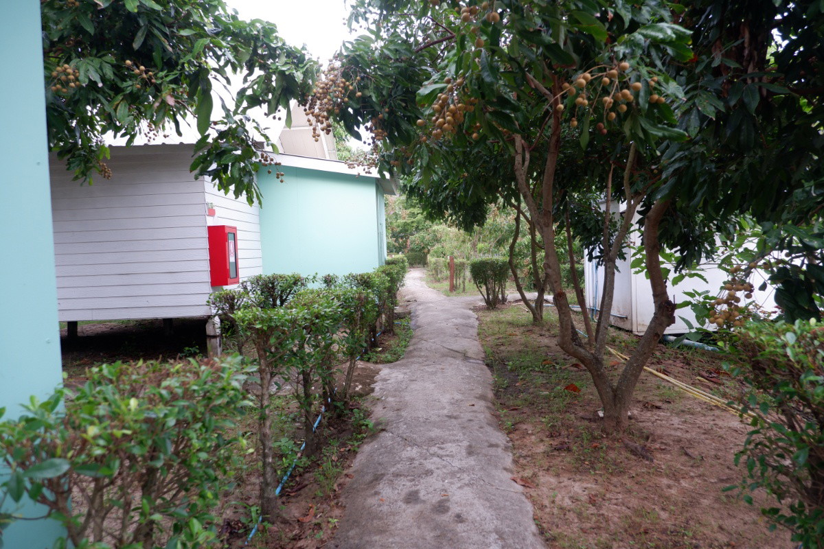 1 Bed Condo · Chom Thong, chiang_mai — photo 1