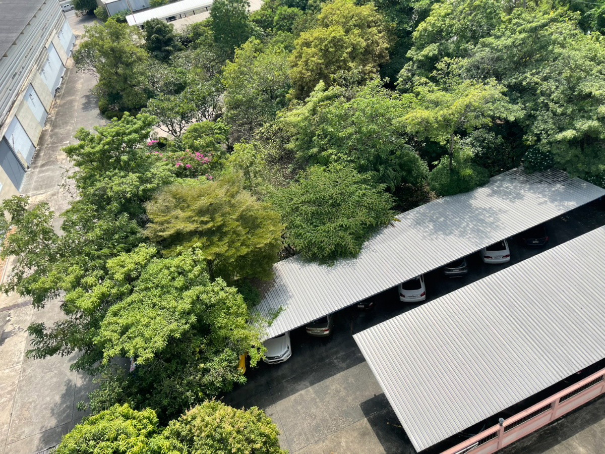 1 Bed Condo · Mueang Samut Prakan, samut_prakan — photo 3