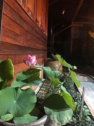 1 Bed Condo · Phra Nakhon, bangkok — photo 4