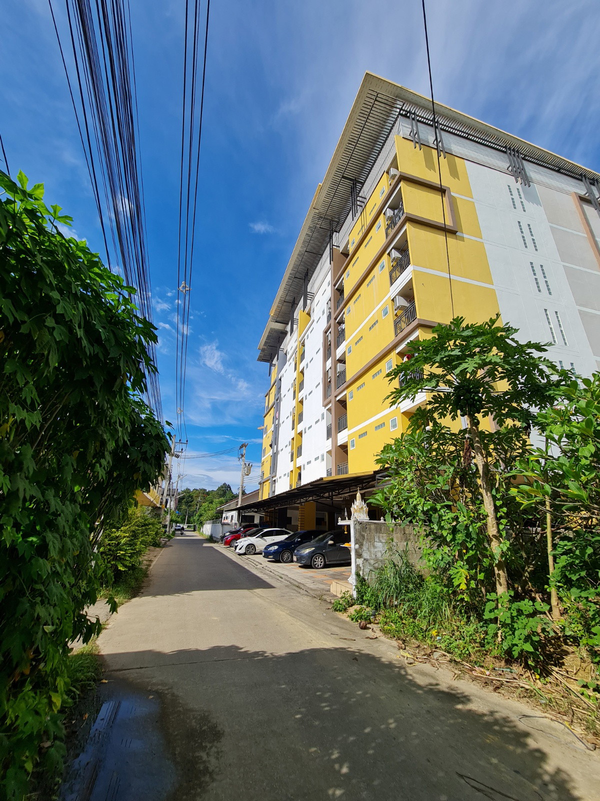 Condo · San Sai, chiang_mai — photo 1