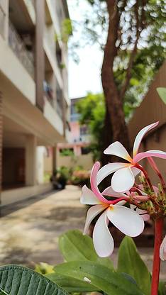Condo · Min Buri, bangkok — photo 2