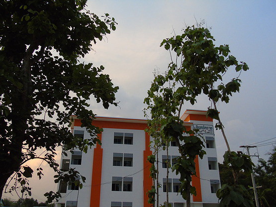 1 Bed Condo — photo 2