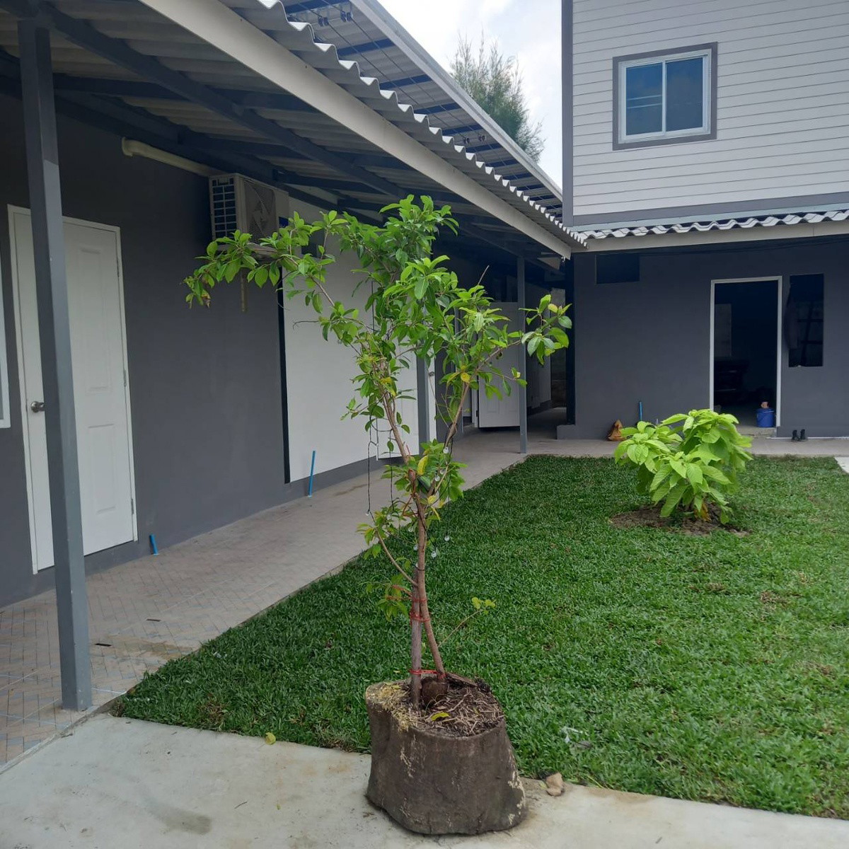 1 Bed Condo · pathum_thani — photo 4