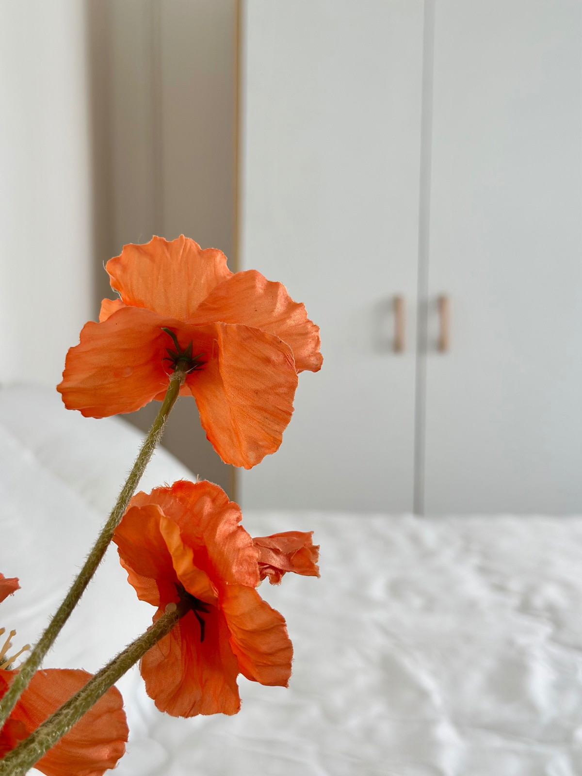 Condo · Mueang Nonthaburi, nonthaburi — photo 4
