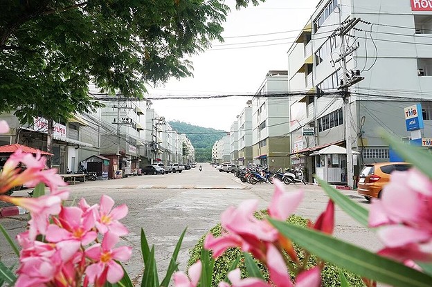 1 Bed Condo · Si Racha, chon_buri