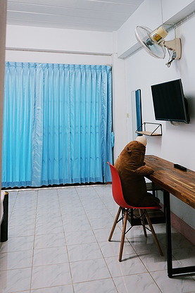 1 Bed Condo — photo 2