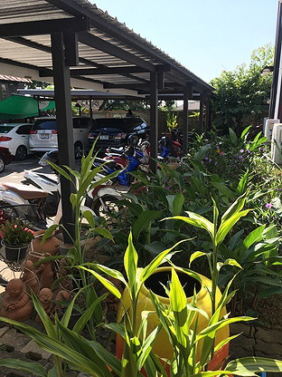 1 Bed Condo · San Sai, chiang_mai — photo 5