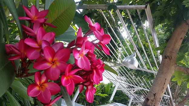 1 Bed Condo · prachuap_khiri_khan — photo 2