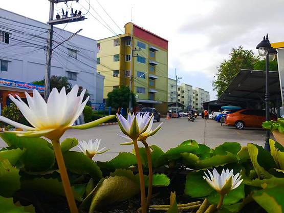 1 Bed Condo · chon_buri — photo 3
