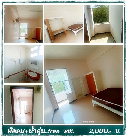 1 Bed Condo — photo 2