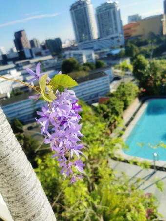 1 Bed Condo · Khlong Toei, bangkok — photo 4