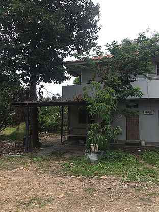 1 Bed Condo · pathum_thani — photo 1