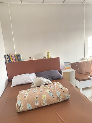 Condo · pathum_thani — photo 4