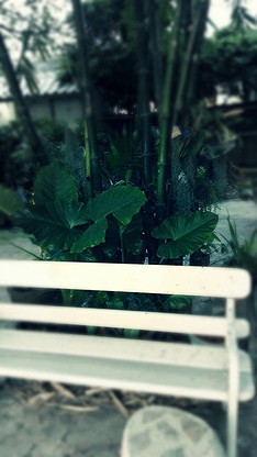 Condo · Bang Bua Thong, nonthaburi — photo 3