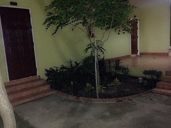 1 Bed Condo — photo 4