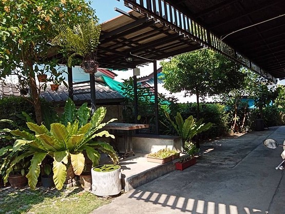 1 Bed Condo · Mueang Chiang Mai, chiang_mai — photo 4