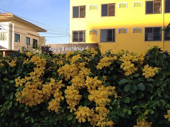 1 Bed Condo · Bangkok Yai, bangkok — photo 1