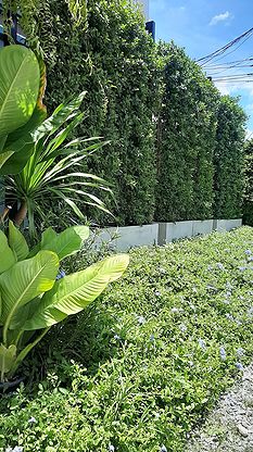 Condo · Min Buri, bangkok — photo 4