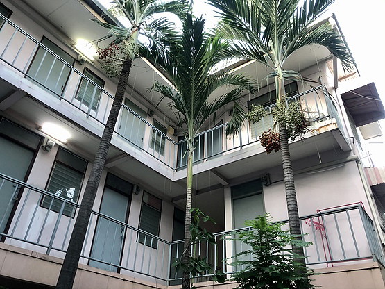 1 Bed Condo — photo 4